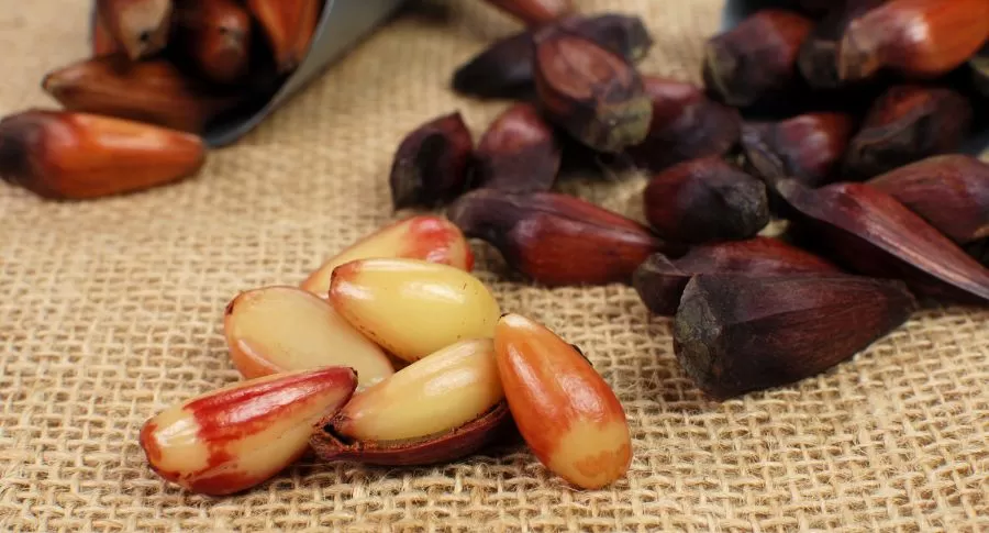 Dicas para um Pinhão Delicioso